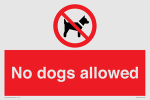 No dogs allowed